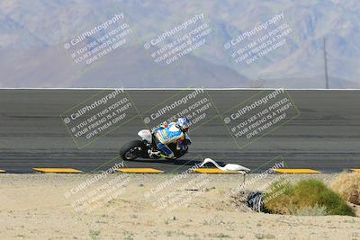 media/Jan-20-2023-Apex Assassins (Fri) [[05880b9d29]]/Trackday 1/Session 2 (Bowl Backside)/